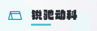 伙伴联盟